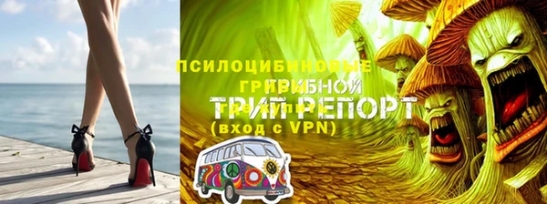 шишки Кинешма