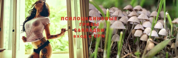 шишки Кинешма