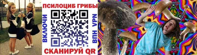 Купить закладки  Николаевск  Псилоцибиновые грибы Psilocybine cubensis 