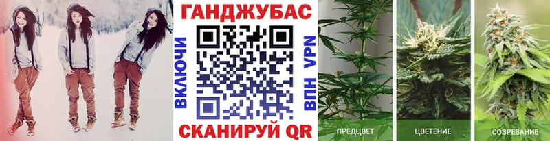 МАРИХУАНА THC 21%  Купить закладки  Николаевск 
